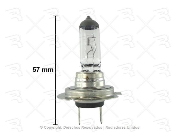 FOCO (H7) 12V 55W NEOLUX