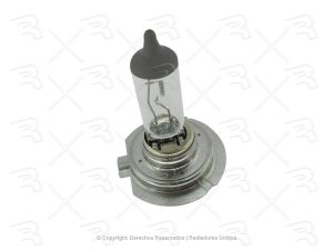 FOCO (H7) 12V 55W 50% MAS LUZ NEOLUX